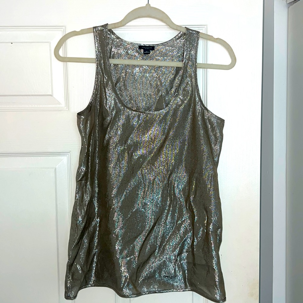 Sheer Ann Taylor blouse